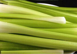 Korzyści zdrowotne wynikające z zastosowania selera