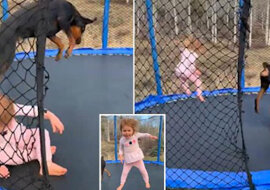 Pytanie, kto jest bardziej zadowolony: dziewczynka i jej pies skaczą na trampolinie