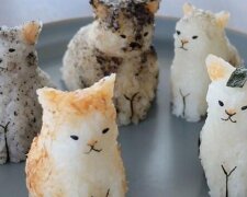 Zbyt wspaniałe, żeby to zjeść: onigiri, czyli japońskie kulki ryżowe