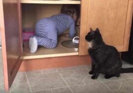 Zobacz co tu się wydarzyło z kotem i dzieckiem w roli głównej