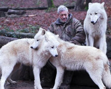 Wilki byłego spadochroniarza Wernera Freunda: nikt nie zagłębił się tak głęboko w świat wilków jak on