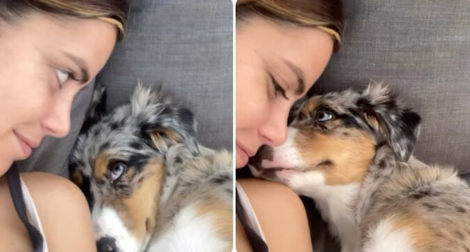 Spojrzenie pełne miłości: Jak pies patrzy na swoją właścicielkę