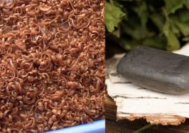 Mydło dziegciowe w ogrodzie: niezwykłe metody użycia