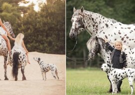 Najlepsi przyjaciele o jednakowym ubarwieniu