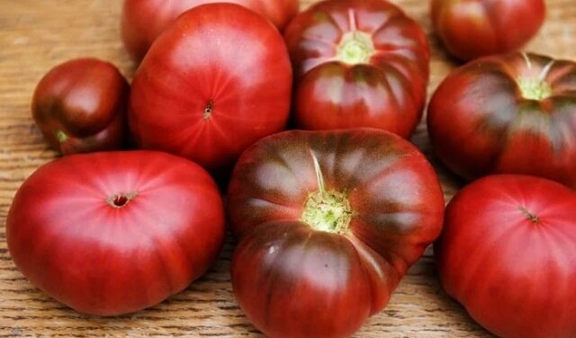 Pomidory nie lubią tego rodzaju nawozu. Przedstawiamy 3 rodzaje nawozów, o których warto zapomnieć