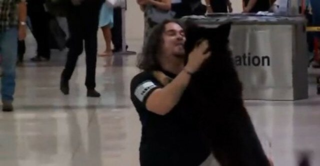 Pasażerowie lotniska byli wzruszeni do łez, gdy zobaczyli spotkanie właściciela z psem