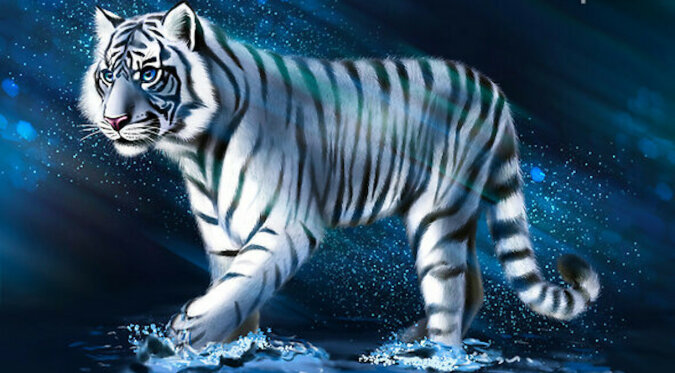 Przygotujmy się do 2022 roku: 5 najważniejszych zasad Wodnego Tygrysa dotyczących szczęśliwego życia