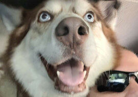 13 zdjęć, na które nie można patrzeć bez uśmiechu