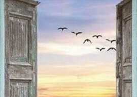 Pewnego dnia siedem osób zadało życiu to samo pytanie