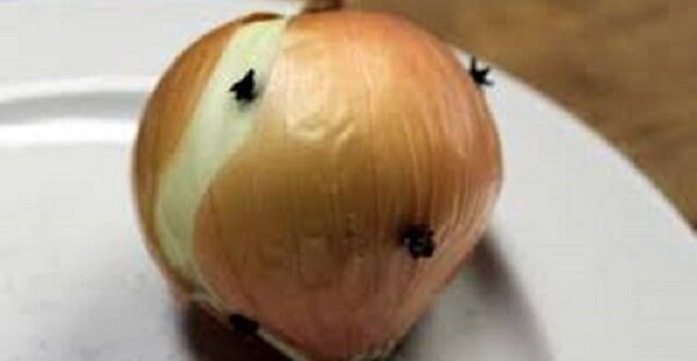 Zobacz dlaczego warto używać latem cebulę z goździkami