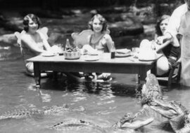Dziwna rozrywka z przeszłości: piknik wśród aligatorów