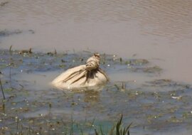 Zauważyli niezwykły worek w wodzie. Na szczęście przybyli na czas i nie dopuścili do tragedii