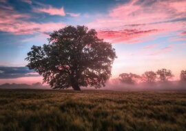 Znaki zodiaku, które potrafią komunikować się z duchami natury