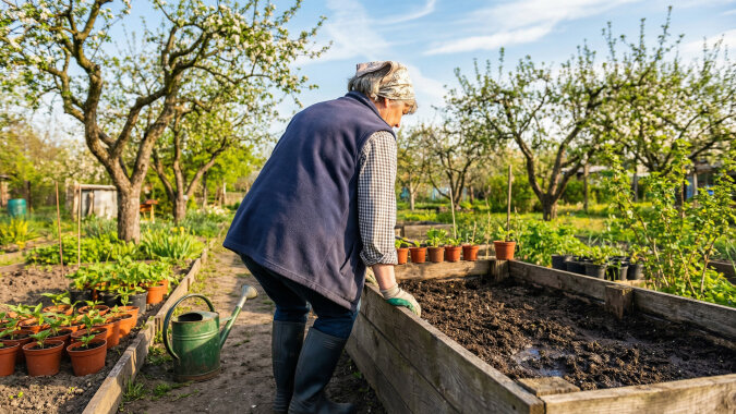 Wzięłam 30 tysięcy kredytu, żeby zięć mógł otworzyć warsztat. Warsztat zamknął po ośmiu miesiącach