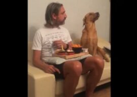 Głodny, ale dumny: pies patrzący na właściciela jedzący obiad rozśmieszył sieć. Wideo