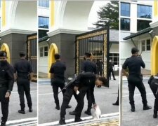 Nikt nie może się oprzeć temu, aby pogłaskać kota. Nawet policjant będąc na służbie