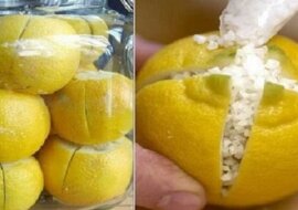 Nacięła cytryny i zasypała je solą. Gdy zobaczyłam po co zrobiłam to samo