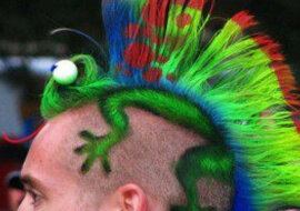 Łysi mężczyźni są zazdrośni na widok tej wspaniałości