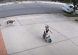 Reakcja mężczyzny na fakt, że czyjeś dziecko jeździ w pobliżu jego garażu, zaskoczyło sieci społecznościowe