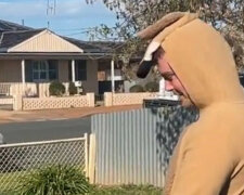 W Australii kangur nie bał się człowieka i wskoczył do jego kieszeni. Wideo