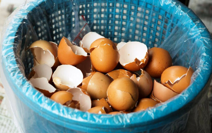 Skorupki jaj są na wagę złota: 5 sposobów na wykorzystanie ich w domu i w ogrodzie