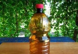 System nawadniający grządki ze zwykłych butelek. Zobacz