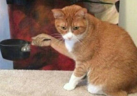 10 złudzeń optycznych, które zaskoczą i wywołają uśmiech