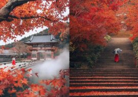 Urzekająca jesienna fotografia krajobrazowa Hiroki Nose