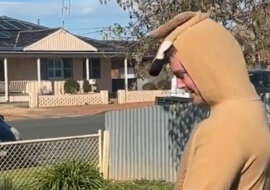 W Australii kangur nie bał się człowieka i wskoczył do jego kieszeni. Wideo