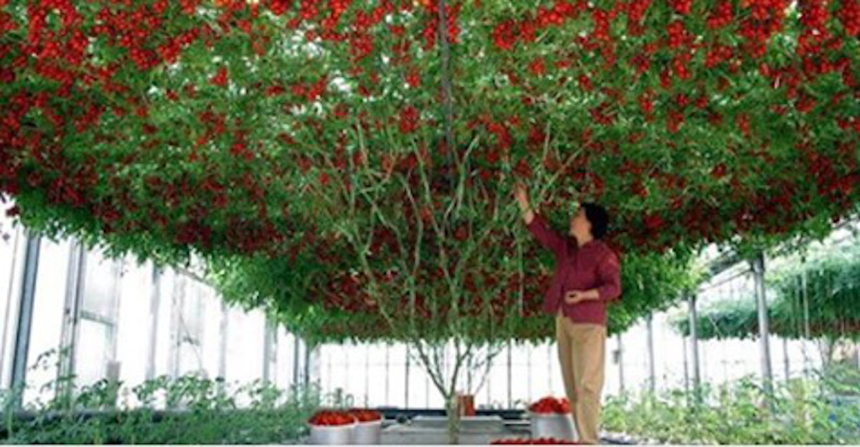 University of Bristol visual data 5